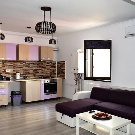 Apartament Liliac ブカレスト エクステリア 写真